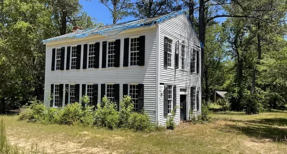 Georgia Farmhouses for Sale