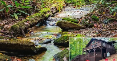 North Carolina waterfront cabins for sale. Find the rustic charm of your ideal mountain cabin escape.