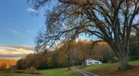 Tennessee Farmhouse For Sale: Experience the Tennessee Country Homes Living with Your Own Piece of Tennessee Rolling Farms.