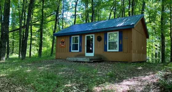 Picturesque Michigan cheap land for sale, Your Off-Grid Cabins on 294 acres of land.