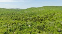 Affordable Maine land for sale. Own this 170-acre hunting land.