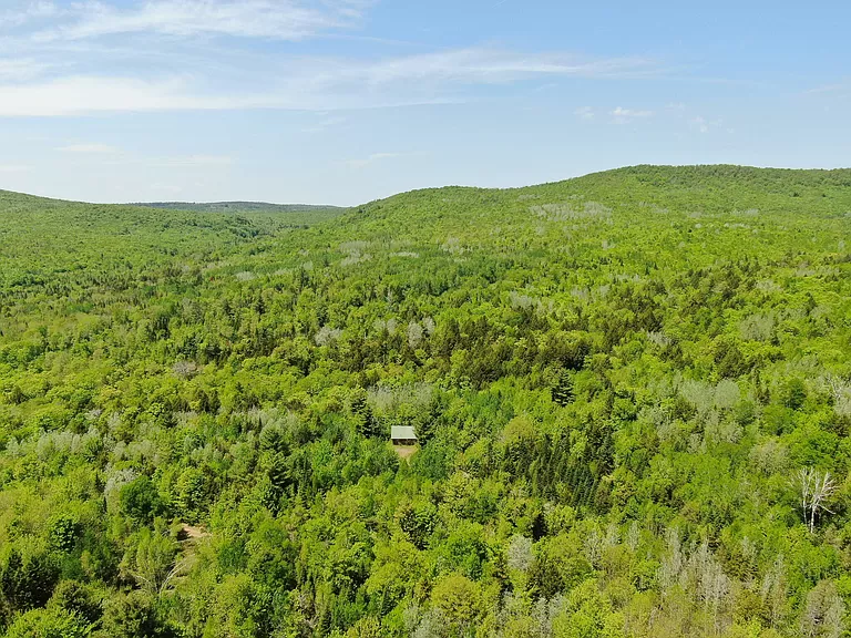 Affordable Maine land for sale. Own this 170-acre hunting land.