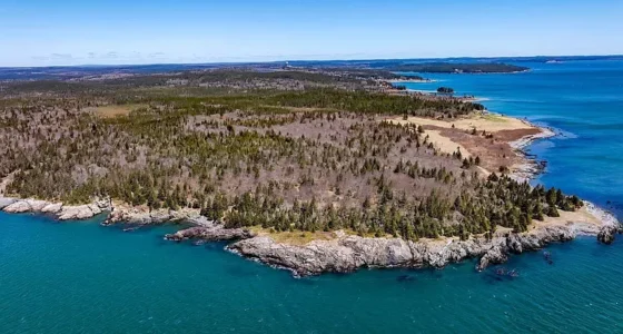 Adorable Maine waterfront property for sale, 207 acres of coastal land at Machias Bay.