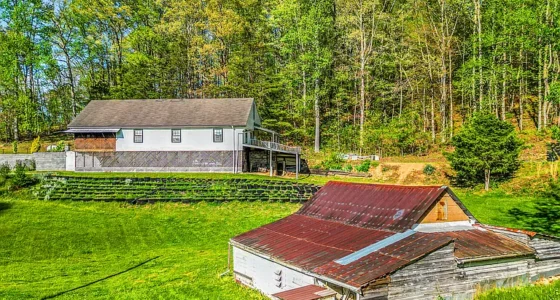 Affordable Tennessee Farmhouse for Sale: TN Real Estate on 2 Acres.