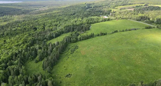 Charming Maine Land for Sale, 108-acre Maine Farmhouse Real Estate.