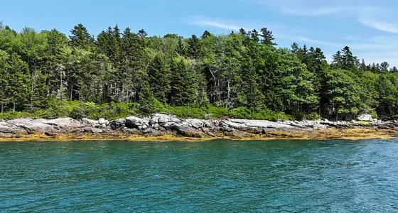 This charming Maine waterfront property is for sale on a 33-acre lot.