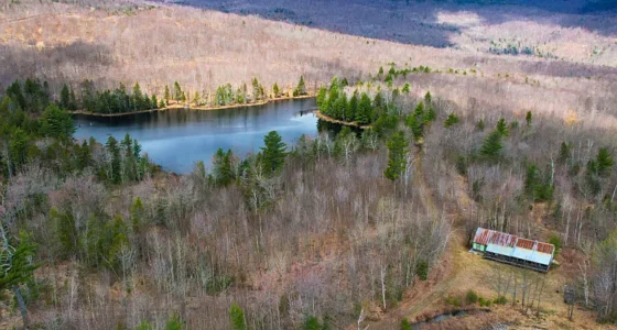 Maine Waterfront Property for Sale: 118 acres with off-grid cabins and a private pond.