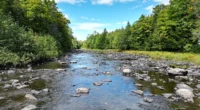 Captivating Maine Waterfront Property for Sale—Maine Real Estate.