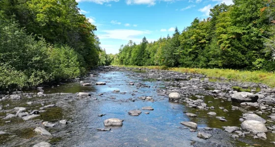 Captivating Maine Waterfront Property for Sale—Maine Real Estate.