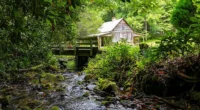 Charming North Carolina cabins for sale with creek frontage for $179,000.