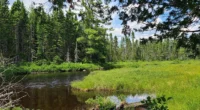 Maine Cheap Land for Sale – 355 Acres with Low Taxes.