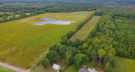 Tennessee Farmhouse for Sale: A Remodeled Home with 31 Acres and Soybean Lease.