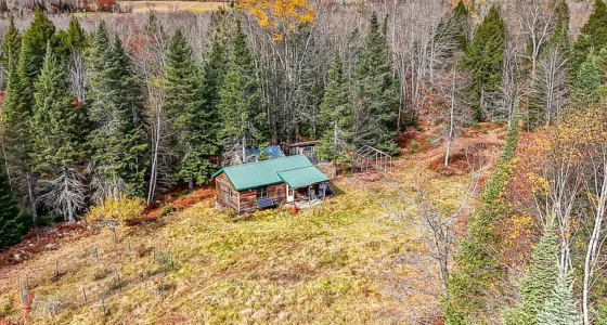 Rustic Maine Land for Sale: 99 Acres with Cabin