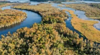 North Carolina Farms for Sale: Hog Island On 950 Acres.