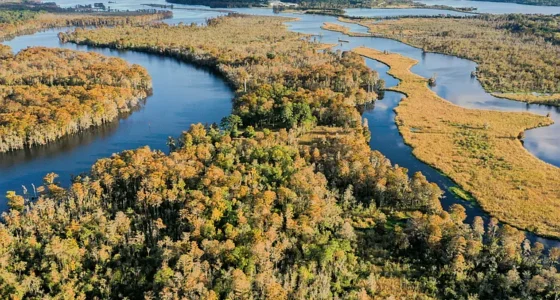 North Carolina Farms for Sale: Hog Island On 950 Acres.