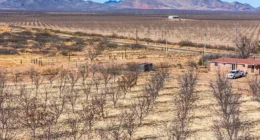 Arizona Ranches for Sale On 233 Acres