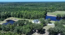 North Carolina Farms for Sale On 53 Acres